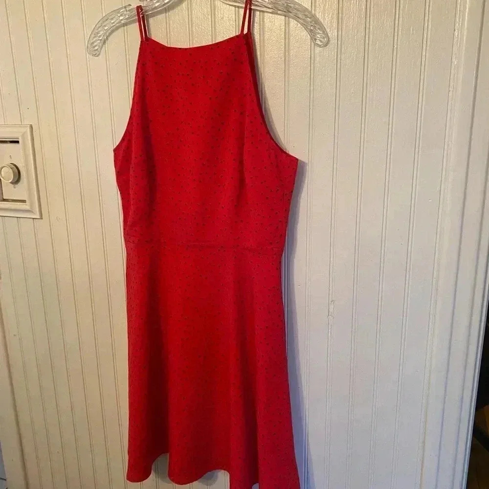 BB Dakota red and black skater dress
